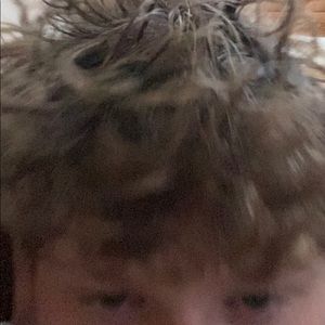 Meet your Posher, Jake